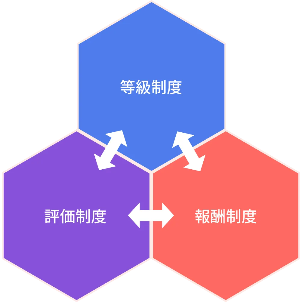 人事制度の紹介図